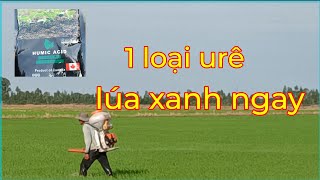 125k cho công 1 loại phânhumic là xanh ngay [upl. by Reyam]