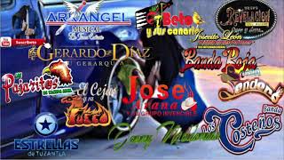 2019 CORRIDOS MIX DE TIERRA CALIENTE [upl. by Ynagoham272]