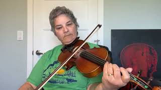 Day 150  Reginald’s Waltz  Patti Kusturok’s 366 Days of Fiddle Tunes [upl. by Notlih750]