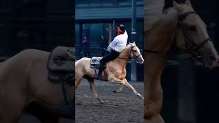 The nation on horseback horse thehorseandhisboy horsevideo [upl. by Eanrahs]