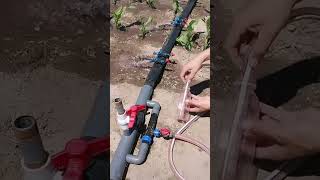 Drip irrigation venturi injector  How a venturi injector works  Fertilize with venturi injectors [upl. by Kendre]