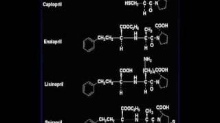 Angiotensin II [upl. by Ellehsal]