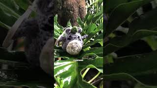 Totoro finds comfort in the rain nestled among the leaves totoro ghibli amigurumi [upl. by Idahs692]