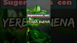 Yerba Buena Algunos usos mágicos amuleto plantas talisman [upl. by Oswin]