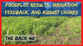 Foodplot Update Irrigation Decision amp August Chores List [upl. by Levania999]