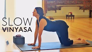 45 Minute Hatha Yoga Flow Slow Vinyasa [upl. by Oiredised]