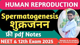 SPERMATOGENESIS शुक्रजनन FORMATION OF SPERMNEET amp 12th Human ReproductionBiology Classes [upl. by Ycam]