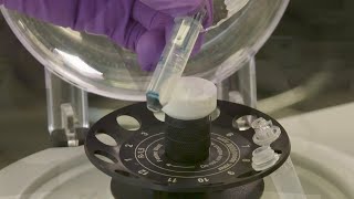 How to Perform a quotReverse Spinquot with an Amicon® Ultra Centrifugal Filter [upl. by Aylatan873]