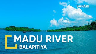 Madu River  River Safari in Sri Lanka [upl. by Epilef]