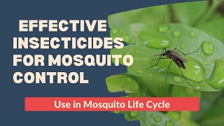 Mosquito Control Methods Natural Repellents amp Effective Insecticides [upl. by Stephenson]