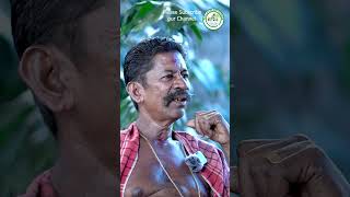 malayalamvlogs kerala elephant  elephant owners  onakkoor rathnakaran  ponnan  for elephant [upl. by Ardnuassac]