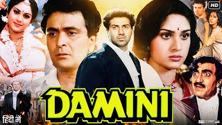 Damini Full Movie  Sunny Deol  Rishi Kapoor  Meenakshi Sheshadri  Amrish Puri  Review amp Facts [upl. by Leribag579]