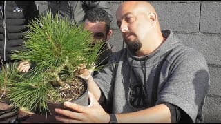 Taller bonsai 29 de diciembre [upl. by Jasik197]