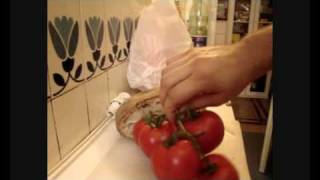 Tomato bruschetta recipe [upl. by Neyut678]