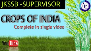 CROPS OF INDIA GK WITH SPECIAL REFERENCE TO JK UT JKSSB SUPERVISOR [upl. by Aiekal629]