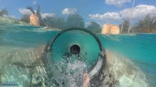 Dolphin Plunge Body Slide Both Slides HD POVS Aquatica Seaworld Water Park Orlando [upl. by Sewoll]