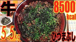 【MUKBANG】 Eel Grilled Beef Hitsumabushi Rice Bowl amp Japanese Broth Rice 55Kg 8500kcalUse CC [upl. by Griggs]