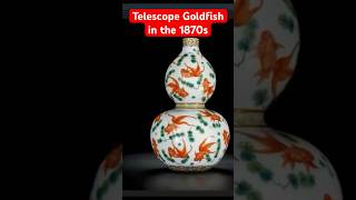 TelescopeEyed Goldfish in the 1870s  清代龙睛金鱼 goldfishcorner telescopegoldfish [upl. by Ariamo700]