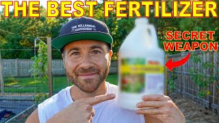 This Fertilizer Is My SECRET WEAPON For A Healthy Productive Garden [upl. by Ladnyc441]