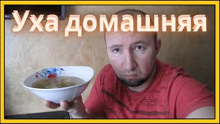 Уха по домашнему Очень вкусно [upl. by Salbu633]