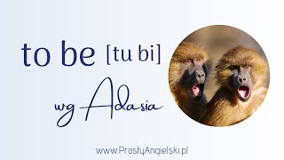 „Dzień świra” i odmiana czasownika posiłkowego  to be  wg Adasia [upl. by Aneer]