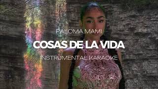 Paloma Mami  Cosas De La Vida INSTRUMENTAL KARAOKE [upl. by Ringler]