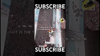 Rabbit🐰 vs turtle🐢respect freefire shortvideos shortsfeed shorts shortsviral [upl. by Violet305]