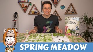 Spring Meadow Board Game Review  Actualol [upl. by Crissie830]