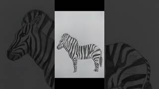 Zebra Drawing zebradrawing [upl. by Alarise532]