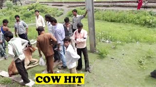 New Delhi Bhopal Shatabdi Hit Cow  Bina Junction [upl. by Enillebyam]