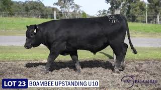 Lot 23  Boambee Upstanding U10 [upl. by Latrell]