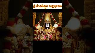 Sri Venkateswara Suprabhatam  MS Subbulakshmi govinda narayana [upl. by Ayvid555]