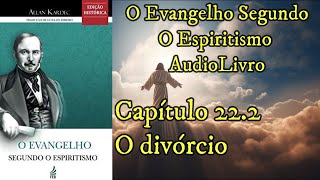 O divórcio  Capítulo 222  Evangelho Segundo o Espiritismo  Audiobook [upl. by Hareenum156]