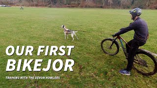 Some TOP BIKEJORING TIPS at the Newnahm Bark training session [upl. by Harmonia]