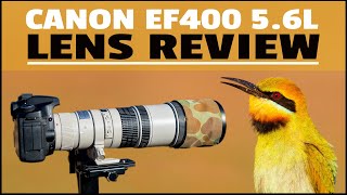 Canon 400 f56L Lens Review  Affordable Light and Super Sharp  Bird Photography Gear Review [upl. by Eladnwahs518]