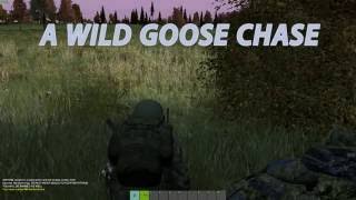 Wild Goose Chase DayZ Standalone 60 pvp Shorts [upl. by Yesnikcm832]