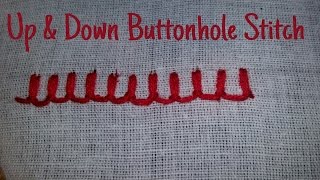 Up amp Down Buttonhole Stitch Embroidery [upl. by Dnaltiak]