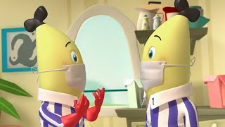 The Big Stink  Bananas in Pyjamas Season 1  Full Episode  Bananas In Pyjamas [upl. by Akinna272]