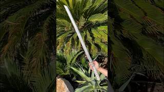 Making a Samurai Sword by sand casting samurai diy sword [upl. by Llertram]