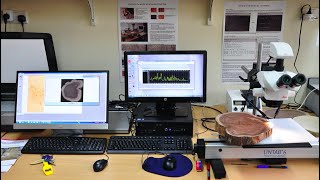 Techniques for Sampling and Analysis in Dendrochronology [upl. by Oelc]