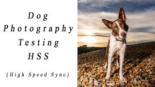 Dog Photography  Testing High Speed Sync Flash  Simon Anderson Photography [upl. by Ayamahs]