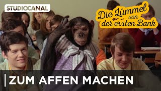 DIE LÜMMEL VON DER ERSTEN BANK  Wenn Lehrer sich zum Affen machen [upl. by Grous]