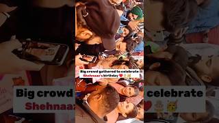 Big crowd gathered to celebrate Shehnaaz Gill birthday ♥️🎂🥳 shorts shehnaazgill fans [upl. by Crotty]