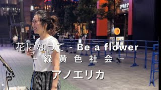 アノエリカ『花になって  Be a flower』−緑黄色社会202482 金歌舞伎町シネシティ広場 [upl. by Nilac]