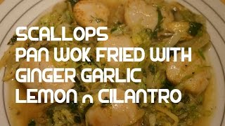 Lemon Pan Fried Scallops Asian Ginger amp Cilantro Recipe Rye Bay coquilles StJacques [upl. by Sueahccaz]