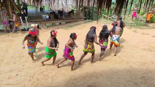 Embera tribe [upl. by Ralip]