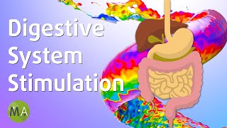 Digestive System Stimulation  Soft Ambience with Isochronic Tones [upl. by Alleuqahs]