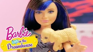 Cachorritos Compilacion  Barbie LIVE In The Dreamhouse  BarbieenCastellano [upl. by Lacie]