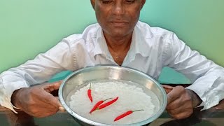 EATING PANTA BHAT WITH TYPES OF BHARTA  WATER RICE EATING MUKBANG ASMR RED CHILI [upl. by Rothwell]