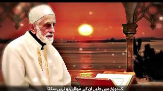 Shah e Madina  Shahida Mini  Naat  Khaliq Chishti Presents  HD VIDEO [upl. by Friedberg303]